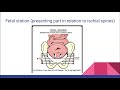 Stages of Labor, Cervical Change & True vs False Labor Explained