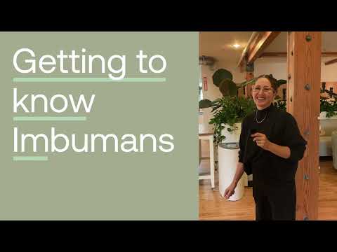 A little peek into working at Imbue