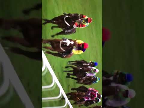 Cheltenham gold cup winner 2018|native river|