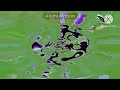 Klasky Csupo Upside Down Effects My Verision Tried To Be Normal