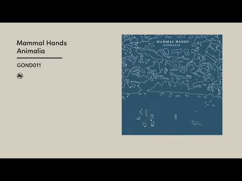 Mammal Hands - Animalia (Official Album Video)