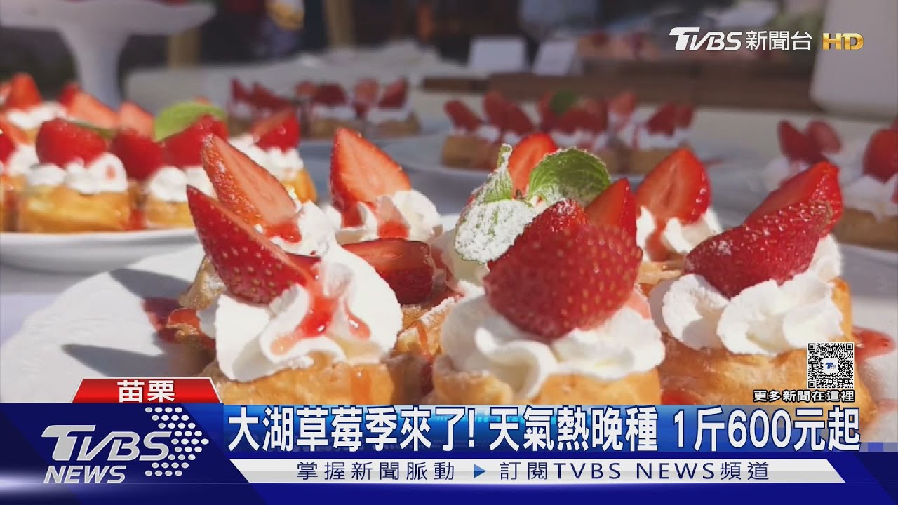 草莓控必衝!大湖「紅寶石」上市 清爽生乳酪口感超驚豔
