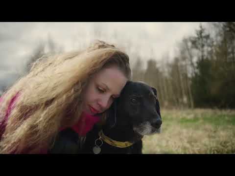 Vytiskněme společně kalendáře 2024 na pomoc pejsků a kočiček