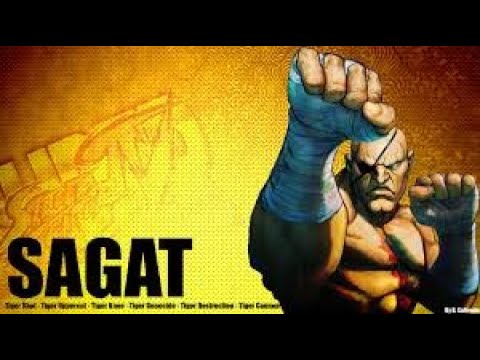 USF4 Sagat Character Specific Punishes