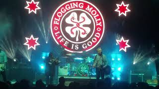 Flogging Molly - Likes of You Again [Pit Cam Live 2018]