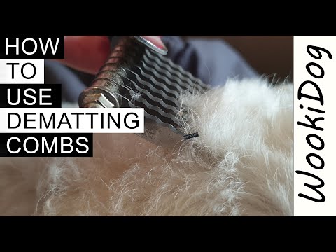 Dog Grooming DEMATTING Combs (Learn How to Groom a Matted Dog) | WookiDog [Maltese Shih Tzu]