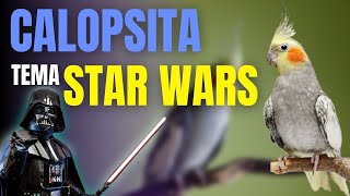 Guerra nas estrelas (star wars) Assobio para ensinamento de calopsita