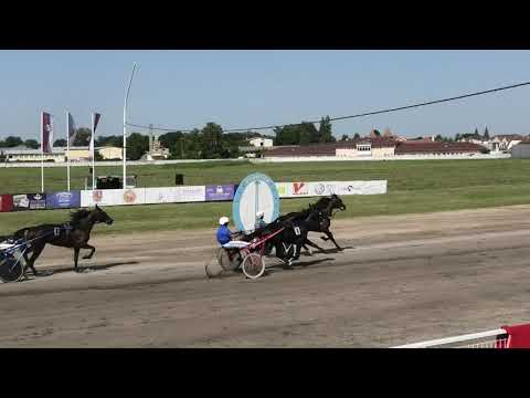 Trka "Linbros 1984" 30.06.2019 Paladino - Boris Kečenović