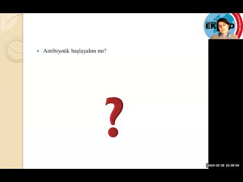 Emek Gerektiren Olgular EGO 28 subat 2024