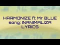 Harmonize ft Mr. Blue - Inanimaliza lyrics