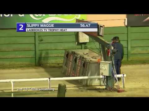 2018 LADBROKES TV TROPHY - HEAT 3 - T2 SLIPPY MAGGIE   TV TROPHY