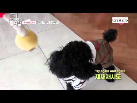 [Engsub] dailytaeng9cam - Taengoo and Ginger