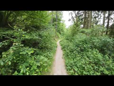 Auf dem Rheinsteig am 18 05 2025 von Kaub nach Lorch