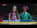 Circus In Town