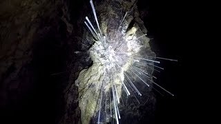 Höhle Taubenloch