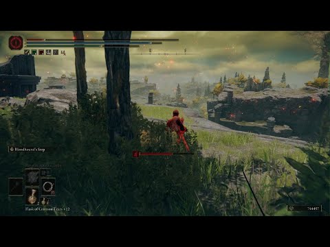 ELDEN RING: Let the Carnage begin.