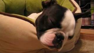 MAX BEIM SCHNARCHEN xD