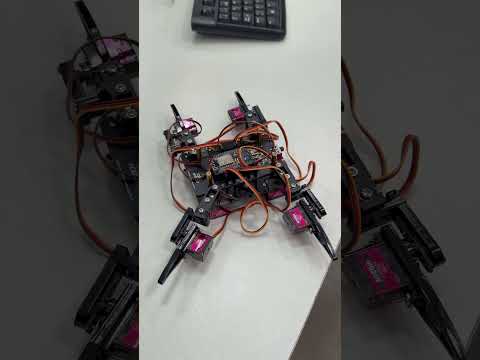 💻✨ Así cerró la Colonia Tecnológica de Verano