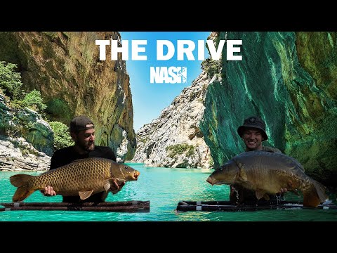 The Drive, French 5400 acre public lake carp fishing