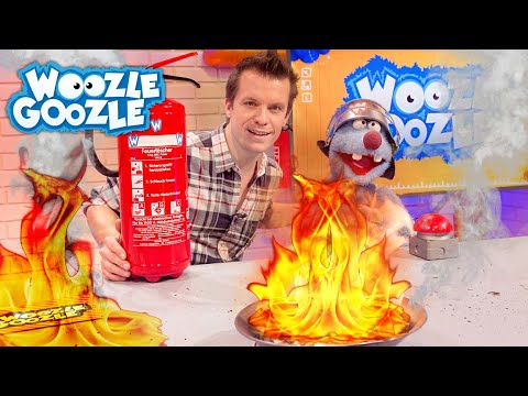 Was ist Feuer? l WOOZLE GOOZLE