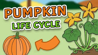 The Life Cycle of a Pumpkin for Kids! gameplay video by Anonymous, 3:27 duration