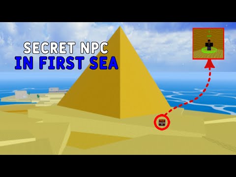 *6 SECRET NPC* In The First Sea That You Have MISSED- Roblox Blox Fruits