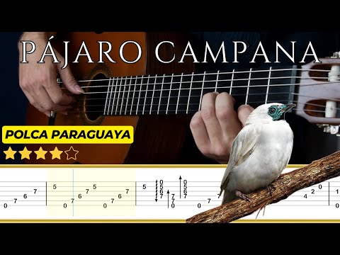 BELL BIRD 🎸 Paraguayan Polka || Classical Guitar Tutorial + TABS
