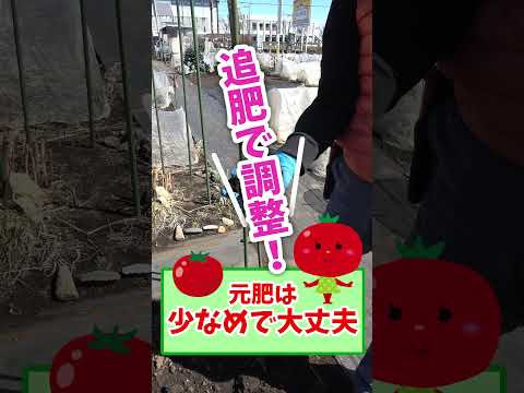 イラクサ肥料天然肥料2022を準備します