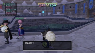 ドラクエ10　団体戦　S帯　戦士　音声無し　コロシアム