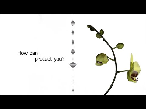 Afterlife, Vincenzo Callea - Protect You feat. Beth Hirsch