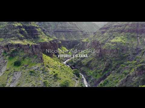 Viitorul e o taină - Nicoleta Adascalului