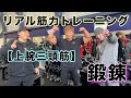 【リアル筋力】トレーニング『上腕三頭筋』〜鍛錬滋賀本店〜