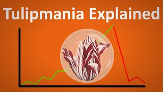 Tulipmania: When a Single Tulip Could Buy You a House