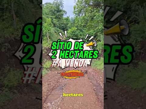 Sítio de 2 hectares à venda em Jaraguari MS. #fazenda #agro #chacarasavenda #sitioavenda #sitio