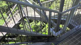 This is a short video outlining some of the amazing places we'll visit on the Day/Night Paronella Park Tour.