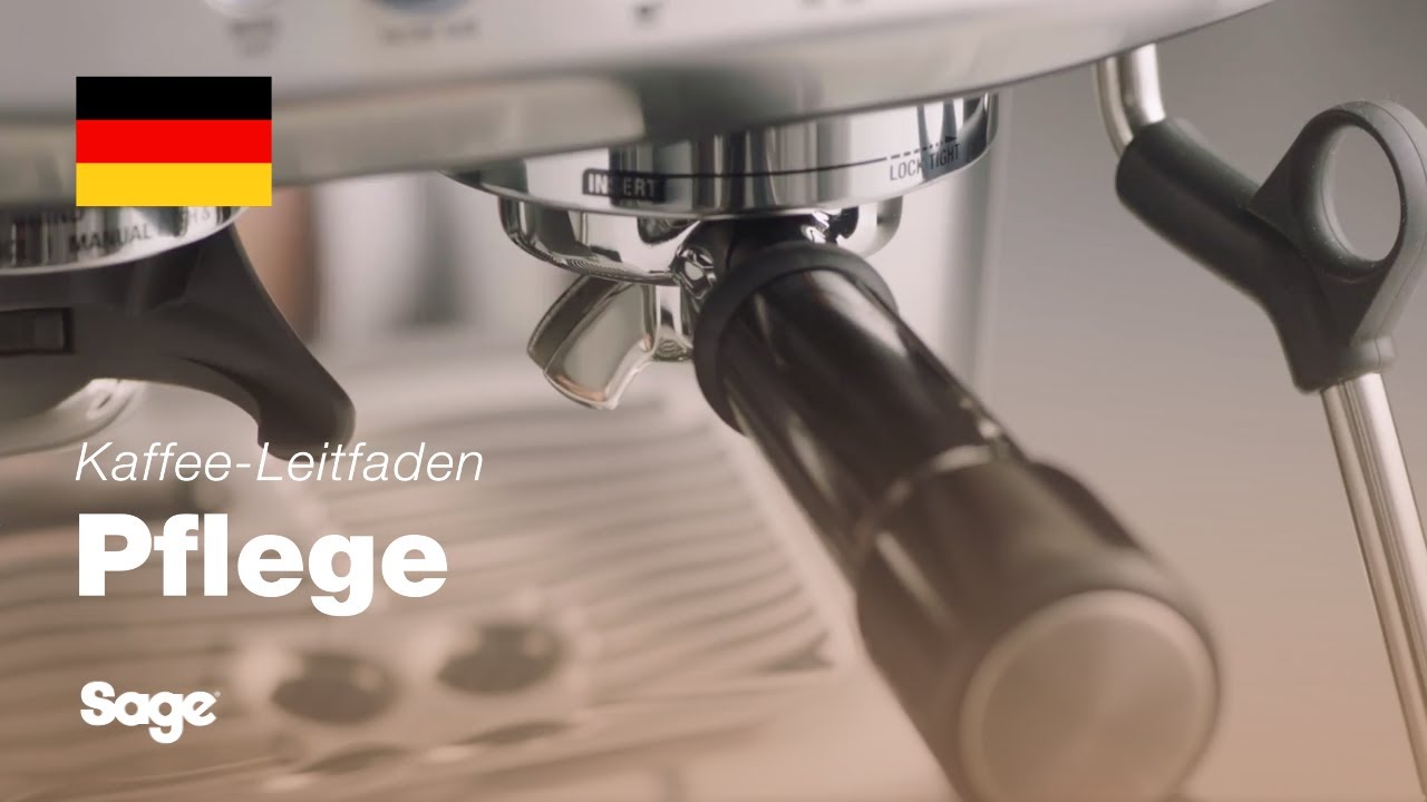 Durchführen eines Reinigungszyklus