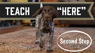 Get Your Puppy To Come When You Call - Introducing The Cue - Second Step