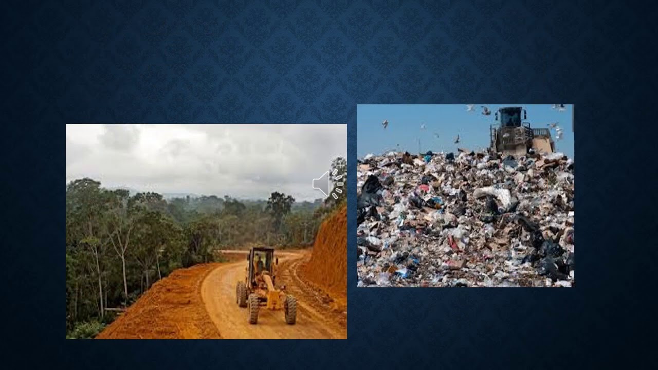 chapter 1 part A our environmental problems, class 9