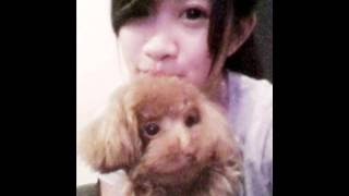 DJ SUNNY(王绎龙) -电音之王 (The King of Electro Music)