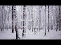 My Dying Bride - Two winters only (with lyrics) - Katerina Banagi My Dying Bride - Two winters only (with lyrics)