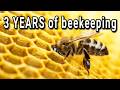 A FULL Season Of Beekeeping From Day 1 To Honey Harvest