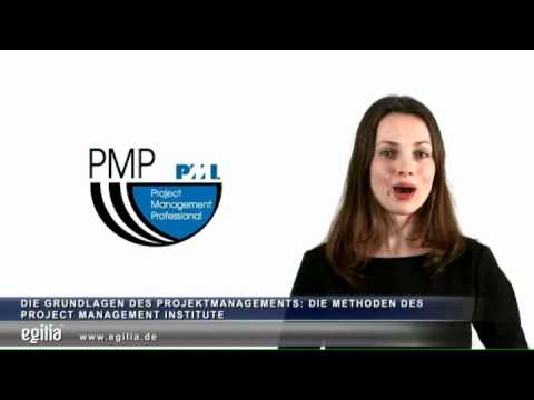 Die Grundlagen des Projektmanagements - Methoden des Project Management Institute