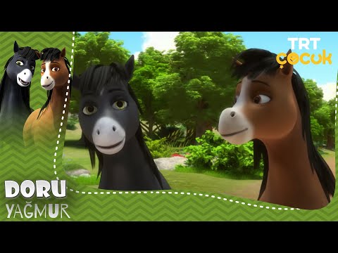 Doru | Yağmur | 23.Bölüm