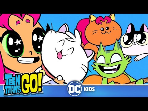 Teen Titans Go! | A Funny Cat Video | DC Kids