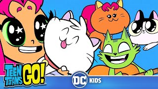 Teen Titans Go! | A Funny Cat Video | DC Kids