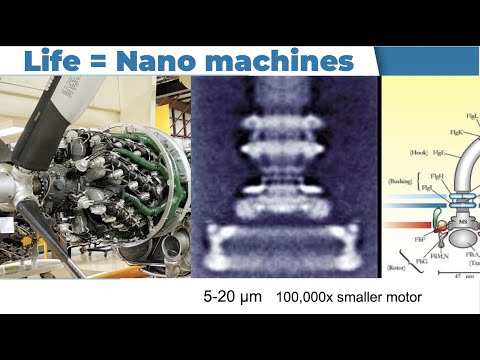 University of St. Francis Bioinformatics Presentation 03 24 23