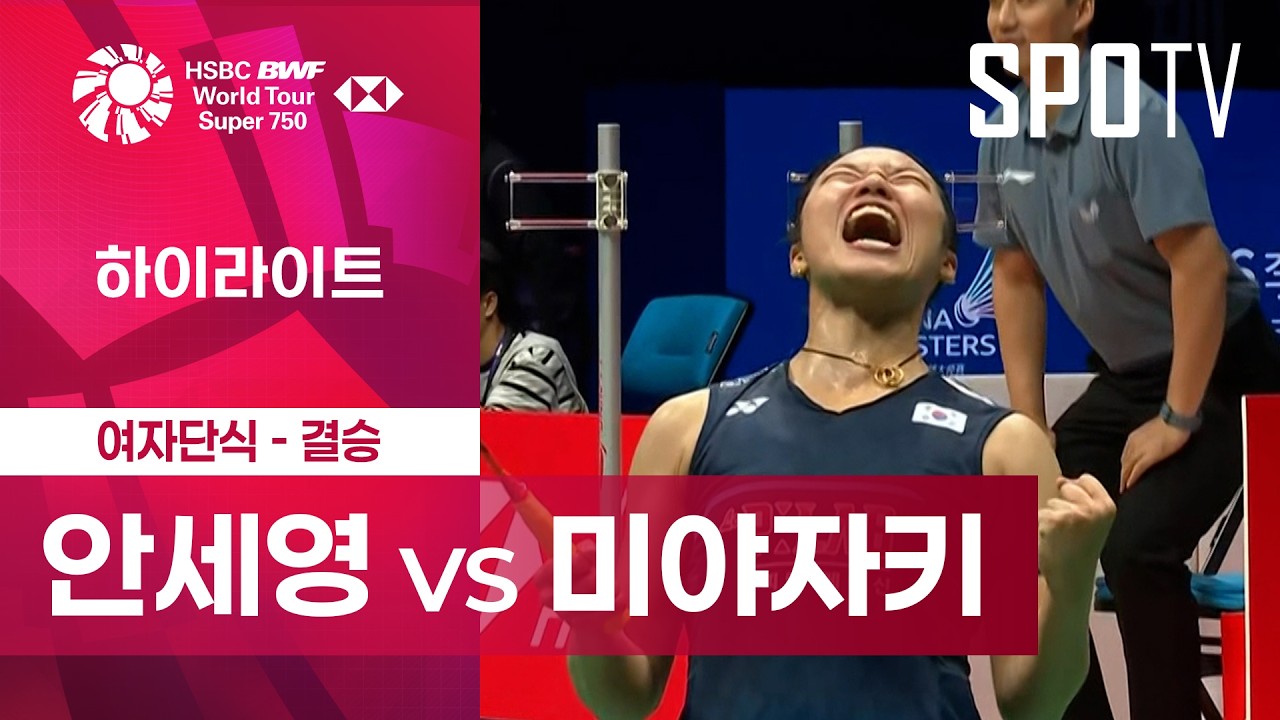 안세영 결승과 우익 논란