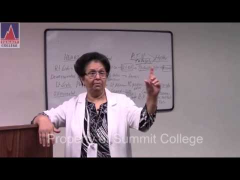 Comprehensive Review - PART 3