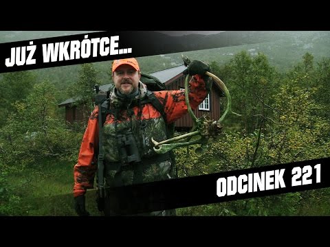 Darz Bór zapowiedź odcinka 221