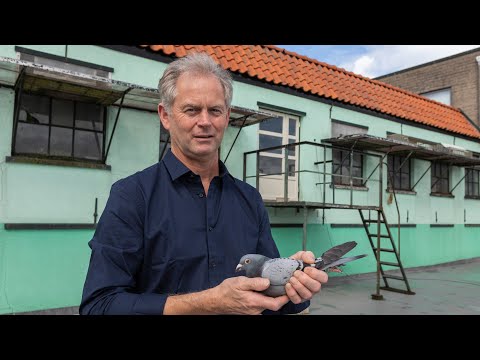 National (Grand Prix) NPO winners 2021: Libourne - Peter van Vliet, Utrecht